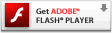 下载Adobe Flash Player