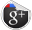 Google Icon